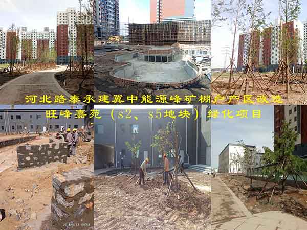 河北路泰承建冀中能源峰礦棚戶產(chǎn)區(qū)改造旺峰嘉苑（s2、s5地塊）綠化項(xiàng)目有序施工中